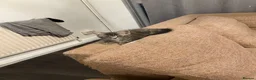Mixed Breed cats for sale: Beautiful grey,tabby and brown kittens - Advert 8