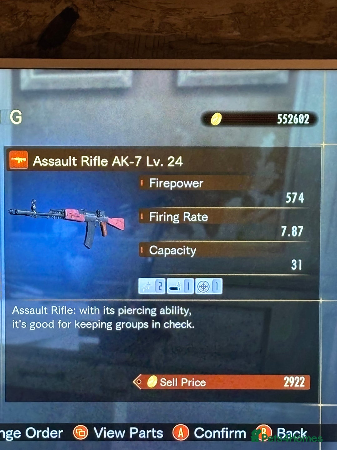 Mixed Breed cats for sale: Mixed Maine Coon & Randall Mix - Advert 9