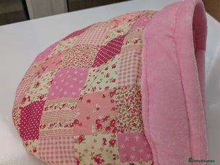 Guinea Pig rodents - Advert 21