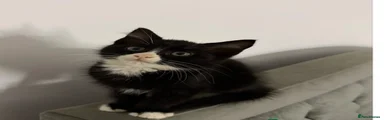 Tuxedo 