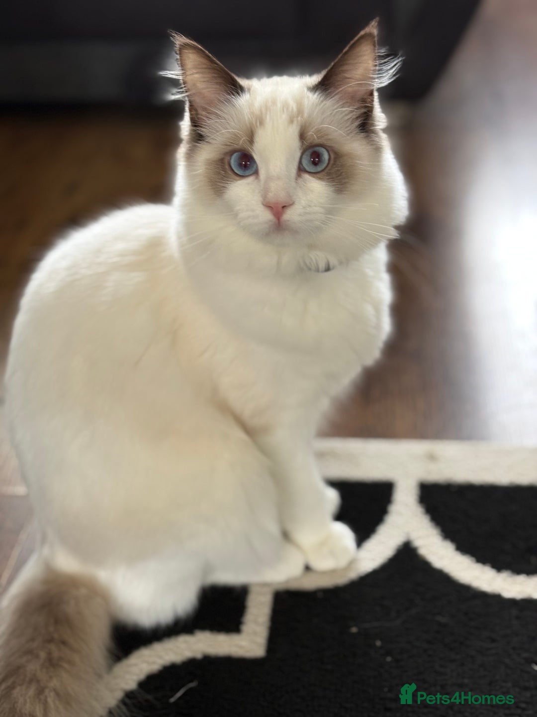 Gallery Image {{count}}