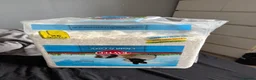 Gerbil rodents for sale: 2 gerbils for sale  - Advert 5