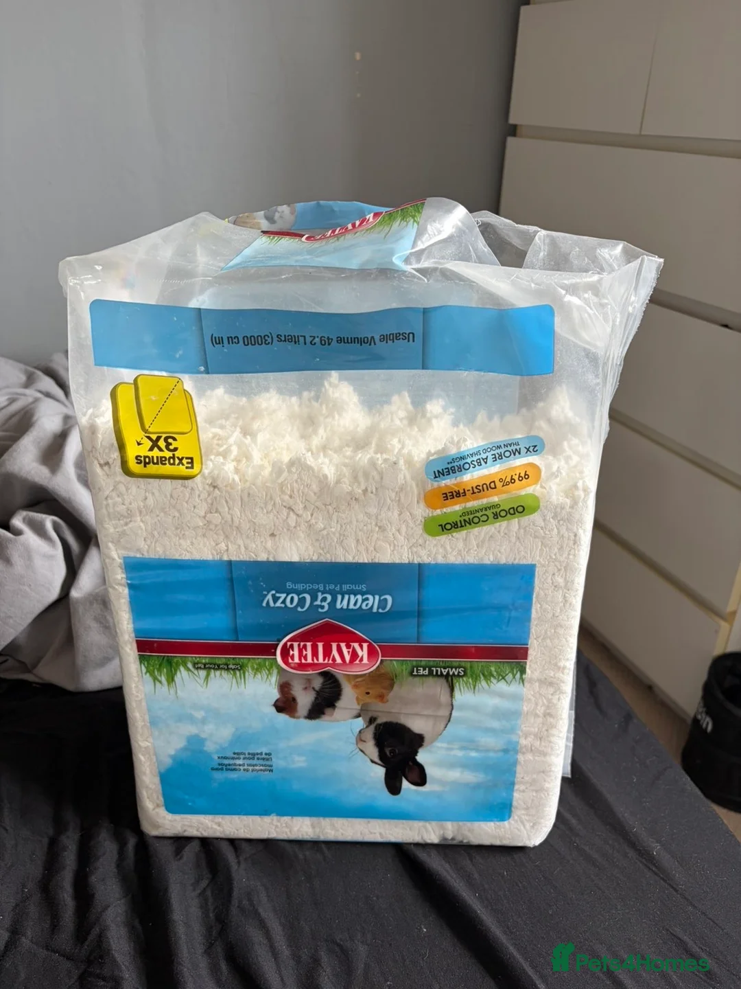 Gerbil rodents for sale: 2 gerbils for sale  - Advert 5