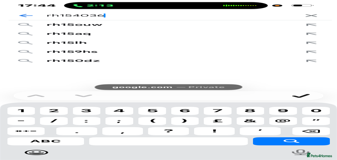 Gallery Image {{count}}