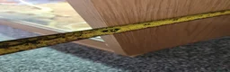 Bearded Dragon reptiles for sale: Juvenile Bearded Dragon & Full Set Up - Advert 12