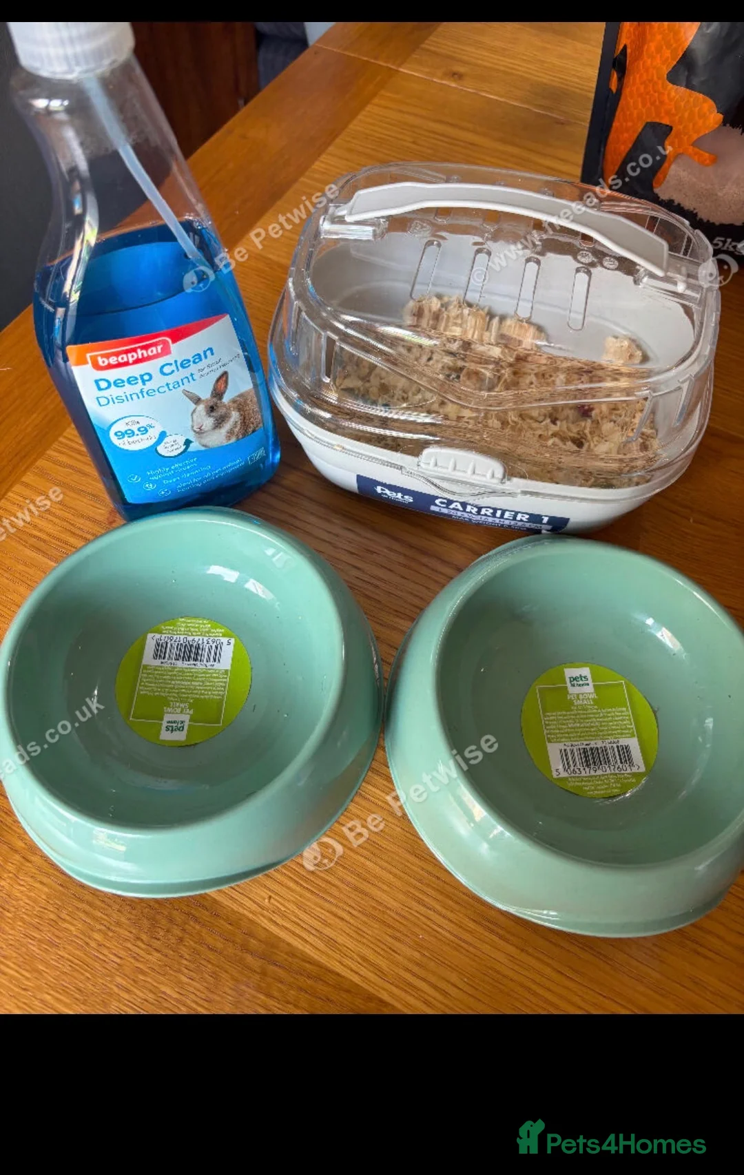 Hamster rodents for sale: Hamster and full set up for sale  - Advert 13