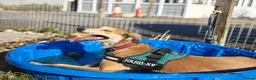 Saluki dogs for adoption: Falkor - Advert 3