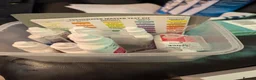 Tetras fish for sale: Well Established Fluval Fish Tank in Runcorn - Advert 25