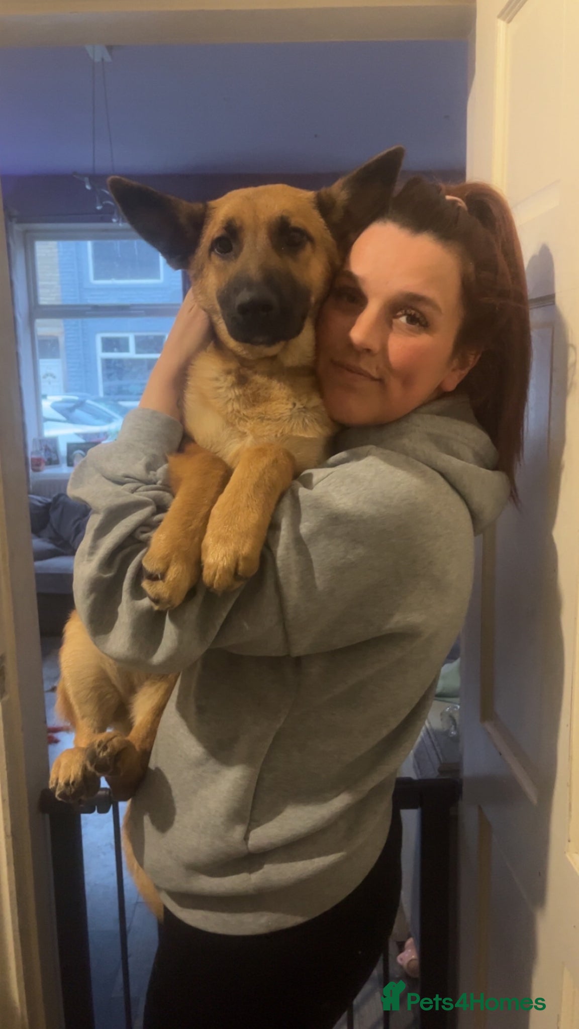Mixed Breed dogs Nala looking for her forever home  - Advert 9