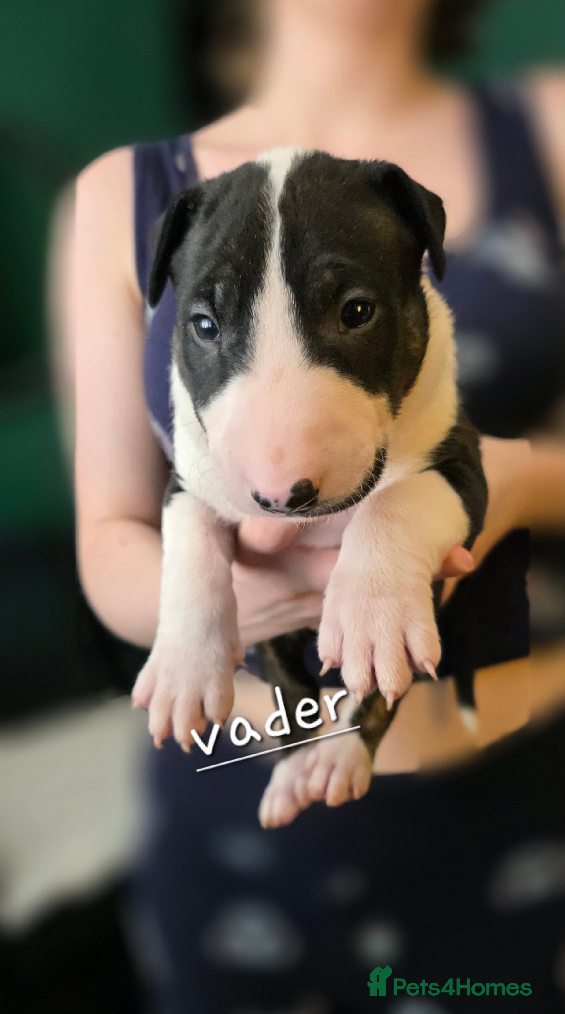 Vader 