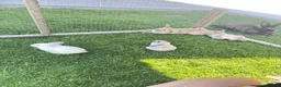 Dwarf Lop rabbits for sale: Baby draw rabbit for sale - Advert 5