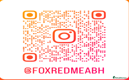 Labrador Retriever dogs for sale: Fab KC Fox Red Pups - 4* Higher Standard Breeder - Advert 13