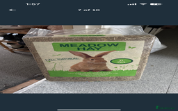 Guinea Pig rodents for sale: X2 male guinea pigs, everything included - Image 7