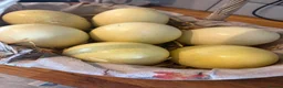 Mixed Breed poultry for sale: Fertile rhea hatching eggs  - Advert 1