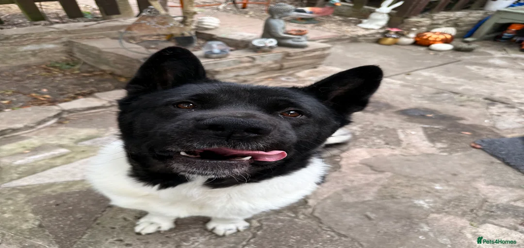 Gallery Image {{count}}