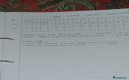 Shih Tzu dogs for sale: SHIH TZU litter. Ready 15/01/2026 - Advert 5