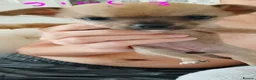 Chihuahua dogs for sale: Tiny chihuahua pups ready now - Advert 9