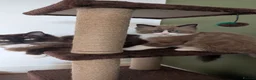 Ragdoll cats for sale: Ragdoll Kittens MINK Boy left now - Advert 3
