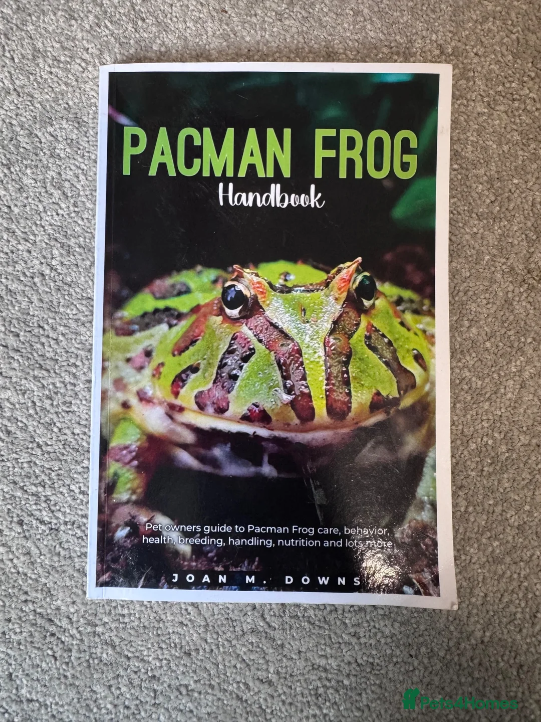 Frog reptiles for sale: Pac-Man complete set up in Ingatestone - Advert 5