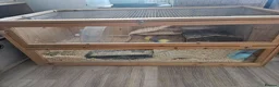 Hamster rodents for sale: Hamster and hamster cage for sale in Barnsley - Advert 1