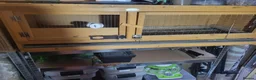 Quail poultry for sale: Quails and full set up - Advert 3