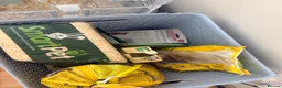 Hamster rodents for sale: Dwarf Hampster with supplies  in Benfleet - Advert 6