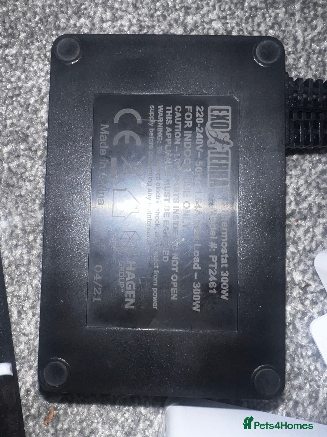 Leopard Gecko reptiles for sale: Exo Terra Terrarium - Full Leopard Gecko Setup - Advert 12