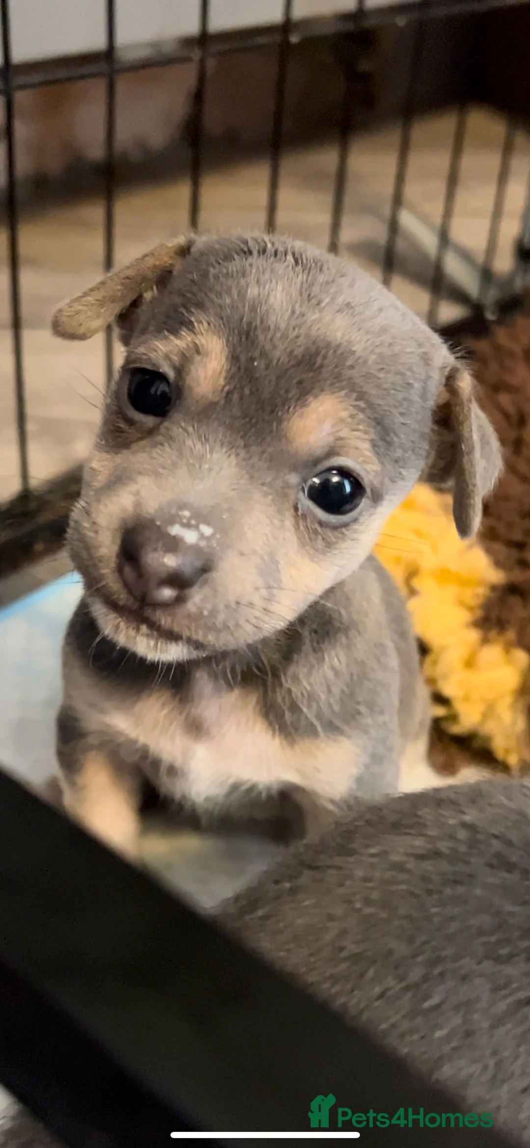 Gallery Image {{count}}