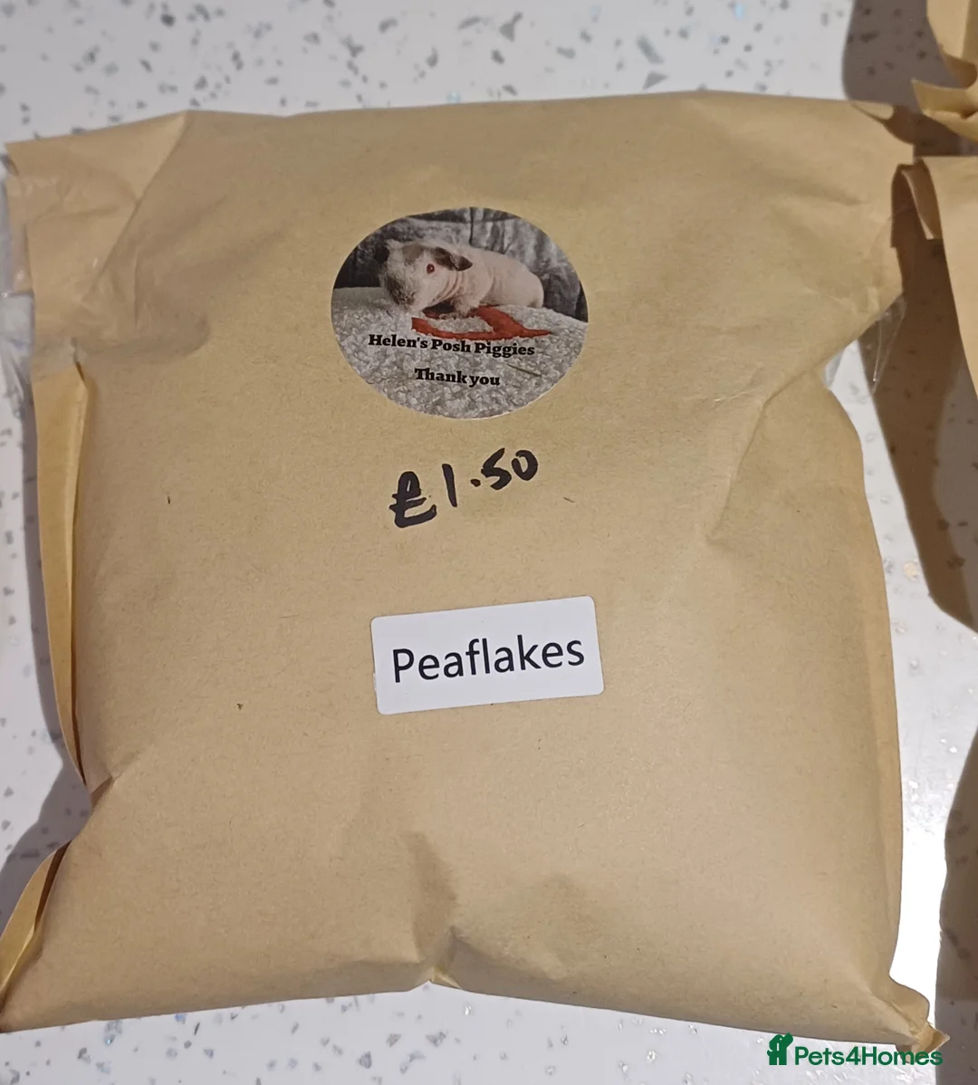 Guinea Pig rodents for sale: Skinny/wolfies? Swiss and teddys - Advert 17