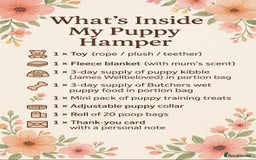 Golden Retriever dogs for sale: 🐾 KC Registered Golden Retriever Puppies 🐾 - Image 26