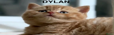 Dylan