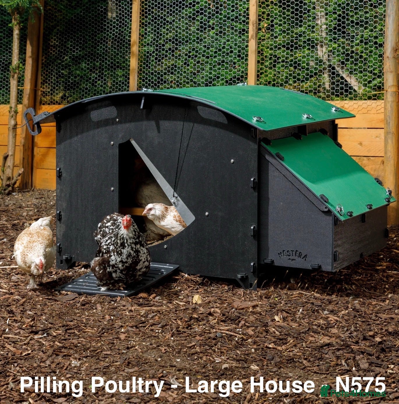 Chickens poultry Pilling Poultry - Chicken House - Large - Advert 1