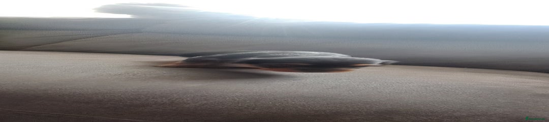 Yorkshire Terrier Puppy 3