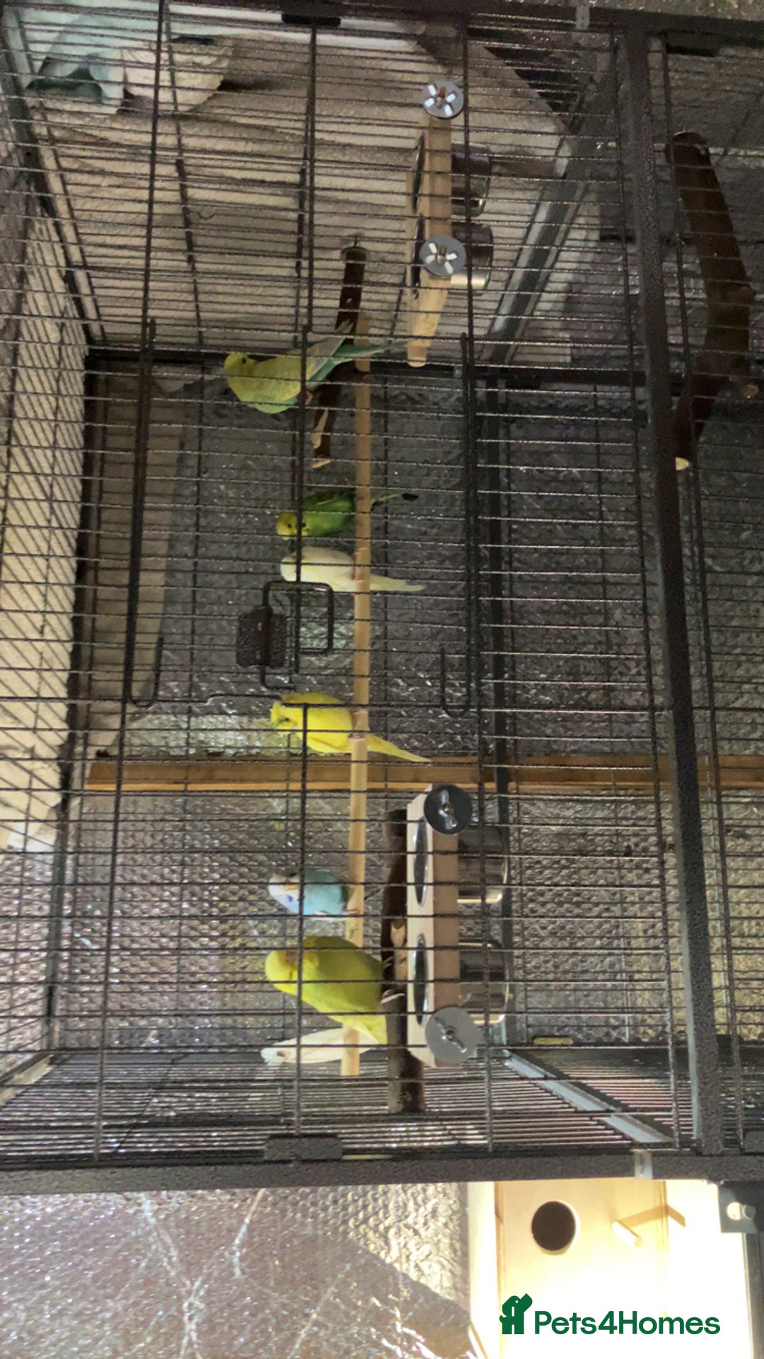 Gallery Image {{count}}