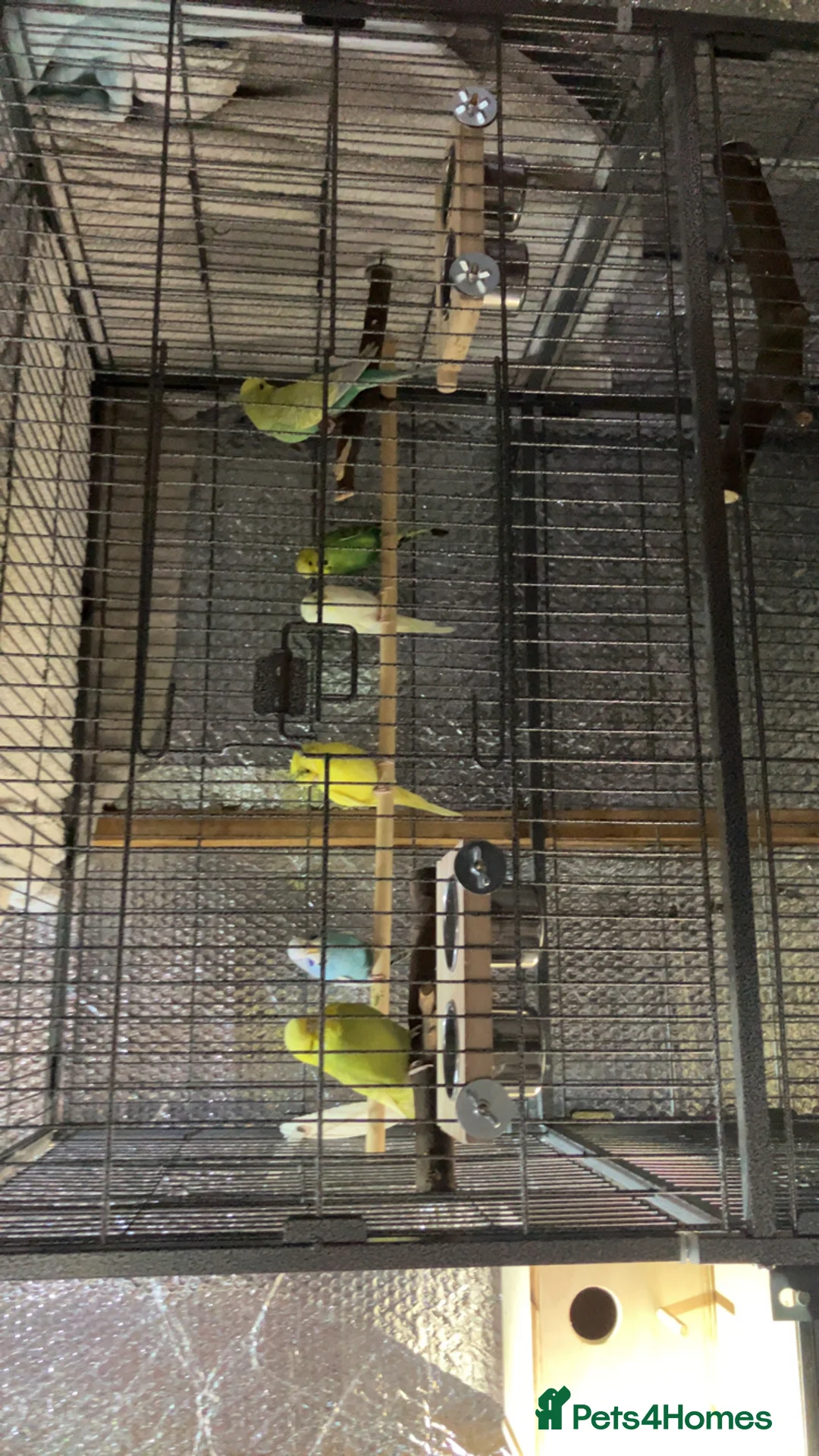 Gallery Image {{count}}