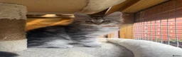 Maine Coon cats for sale: Maine coon kittens - Advert 4