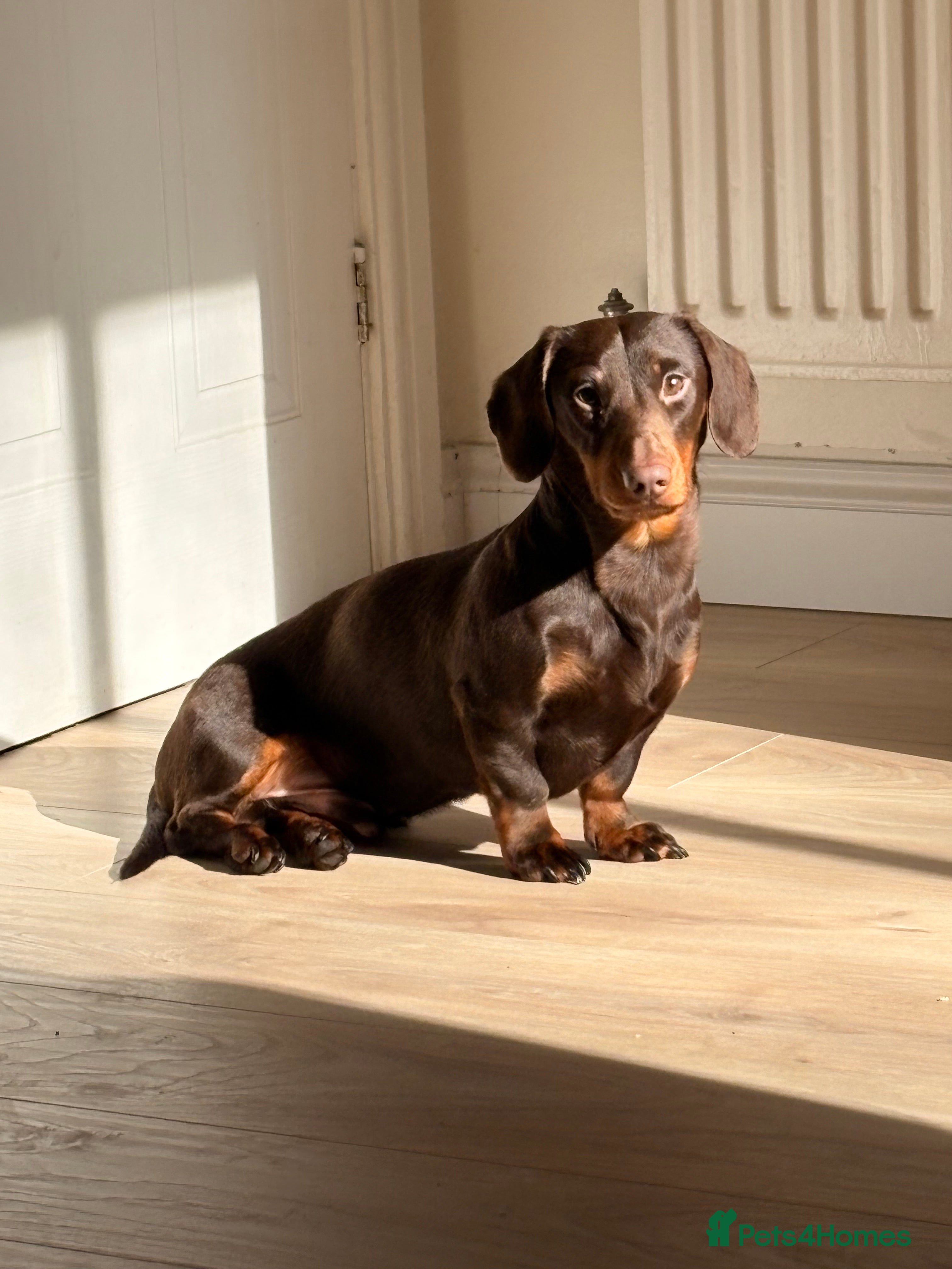 Ralph 