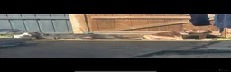 American Bulldog dogs for sale: 2 female dogs rehome in Hinckley - Advert 1
