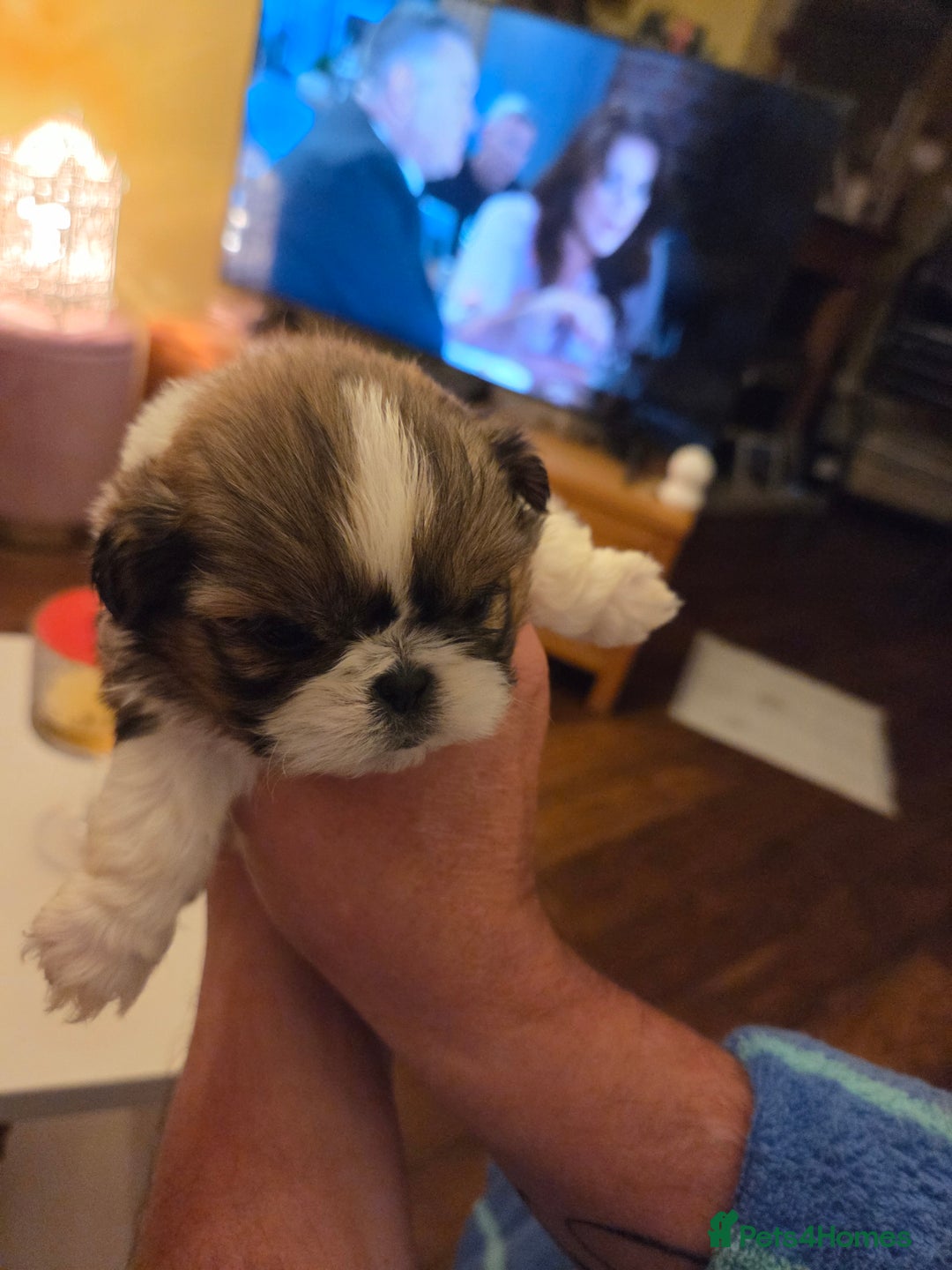 Gallery Image {{count}}