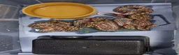 Boa Snake reptiles for sale: Argentina Rainbow Boa's  - Advert 6