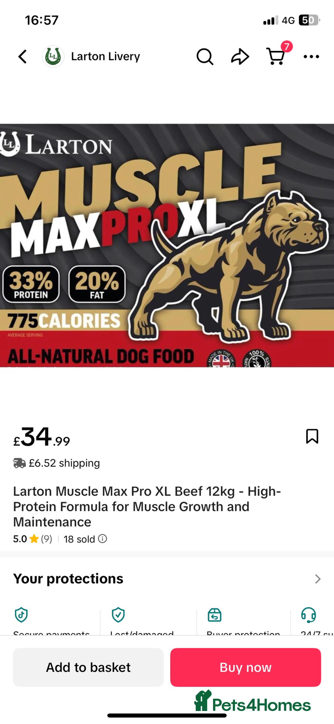 Cane Corso dogs for sale: PURE CANE CORSO MALE - Advert 9