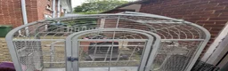 Lovebirds birds for sale: Two bonded love birds for sale - Advert 3