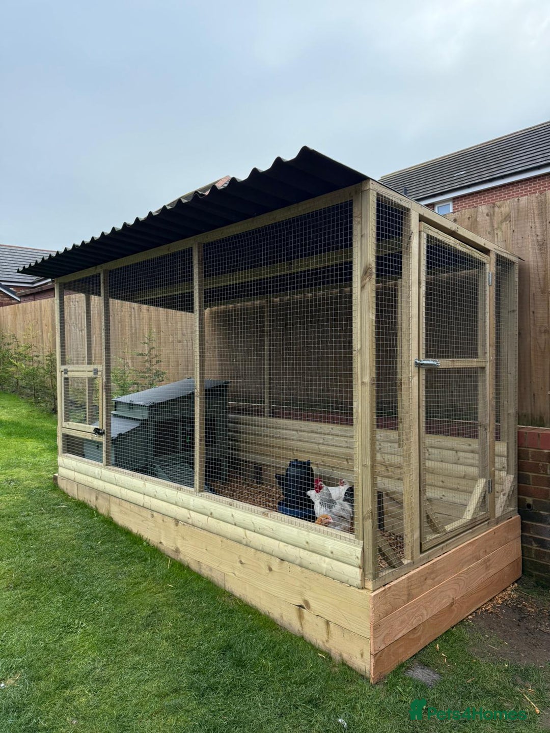Chickens poultry for sale: Chicken Coops - excellent quality - British Made - Advert 26