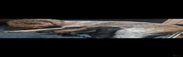 Bedlington Terrier dogs for sale: Bedlington terrier pups for sale  - Advert 3