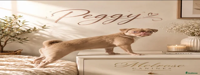 Peggy