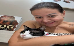 Arabian Mau cats for adoption: Beautiful Oreo - Image 11