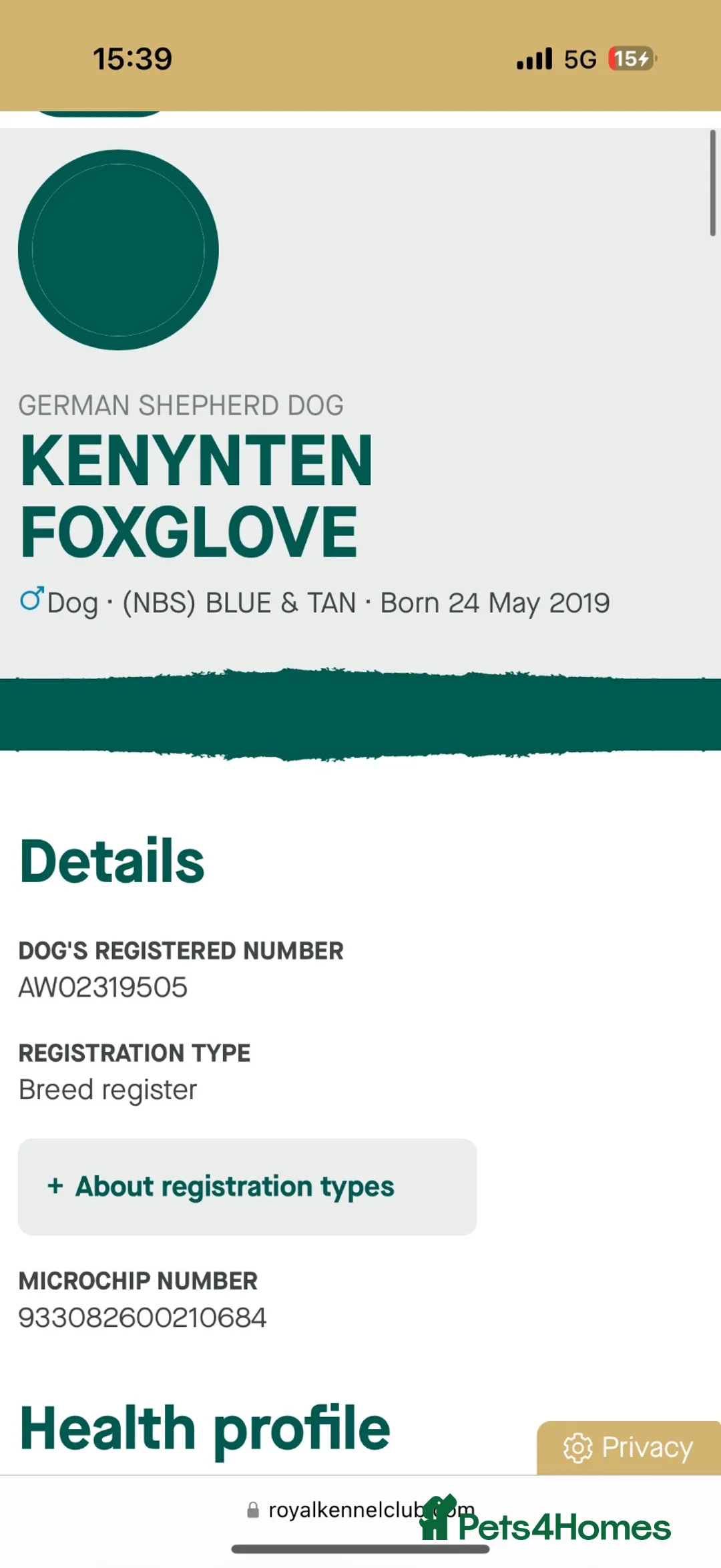 German Shepherd dogs for sale: KC health tested *simba*  - Advert 2