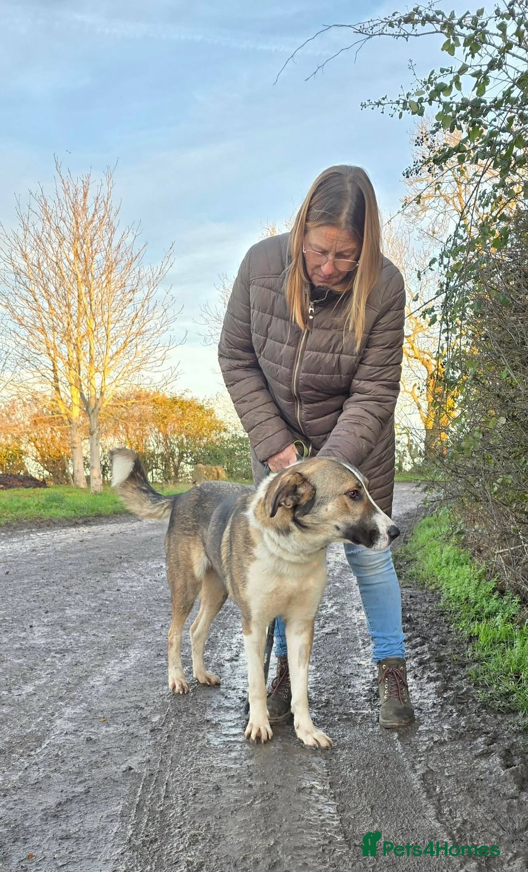 Mixed Breed dogs for adoption: BLANCA - Advert 8