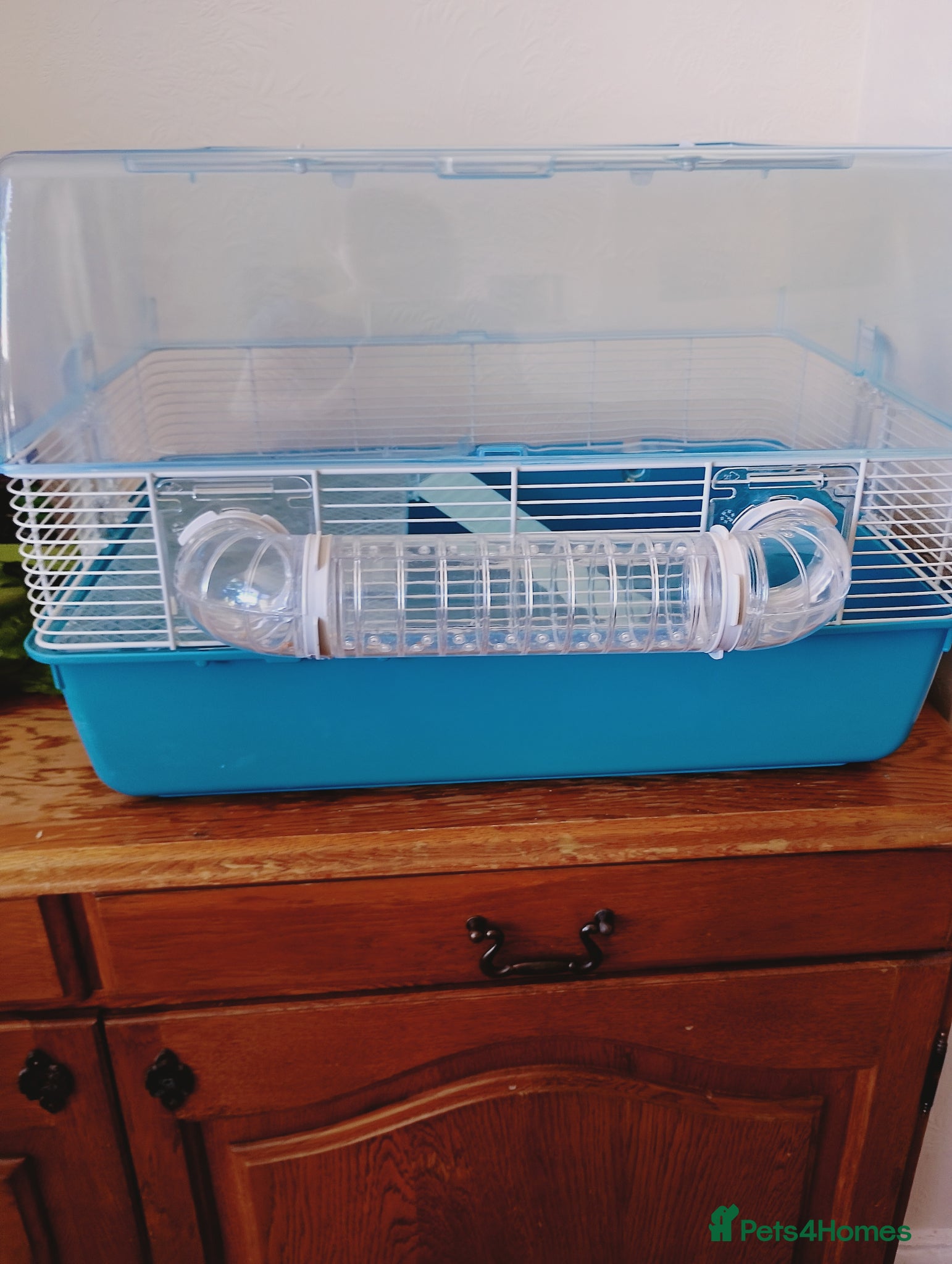 Hamster rodents 2 brilliant hamster cages - Advert 1