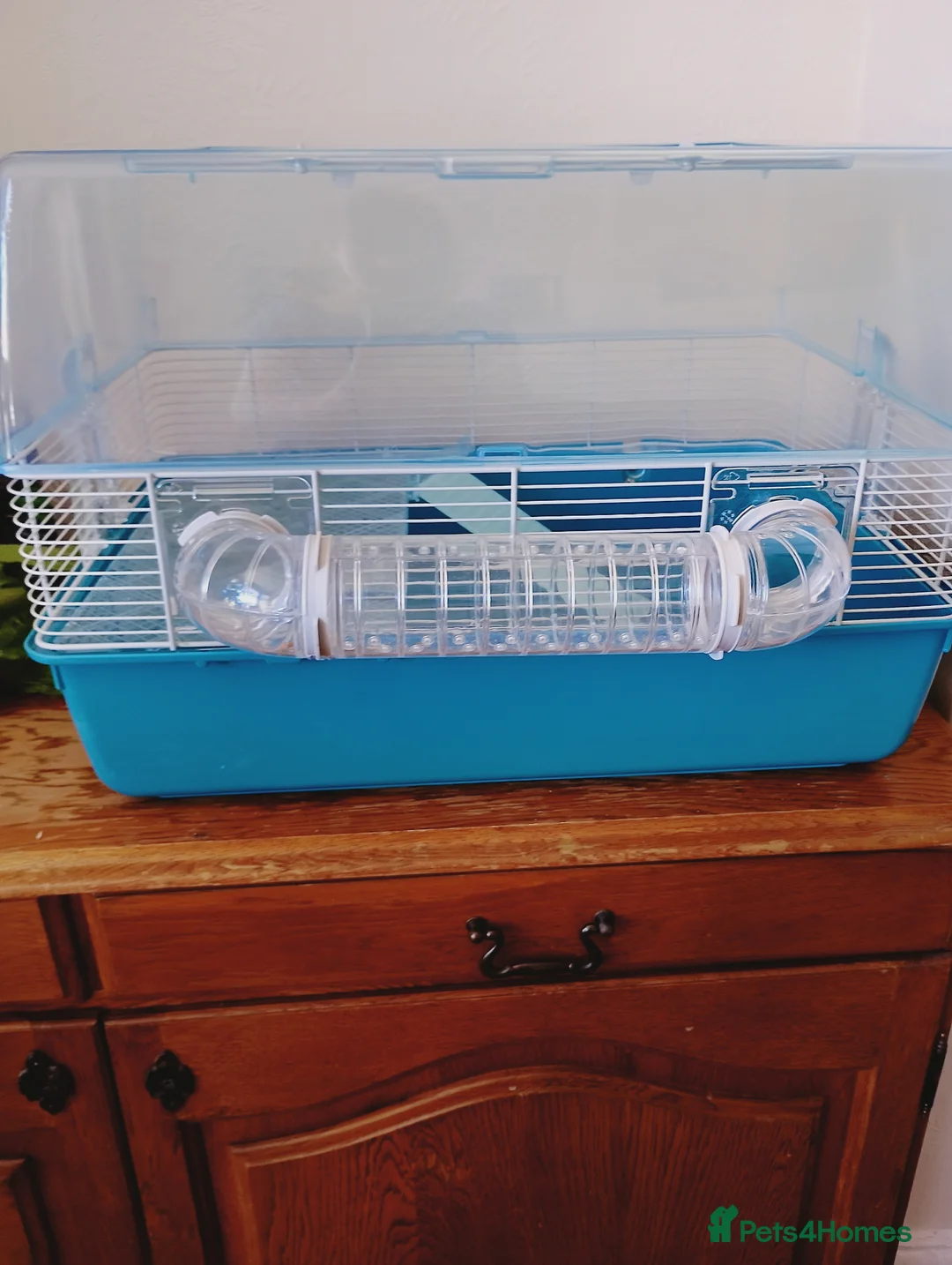 Hamster rodents for sale: 2 brilliant hamster cages - Advert 1